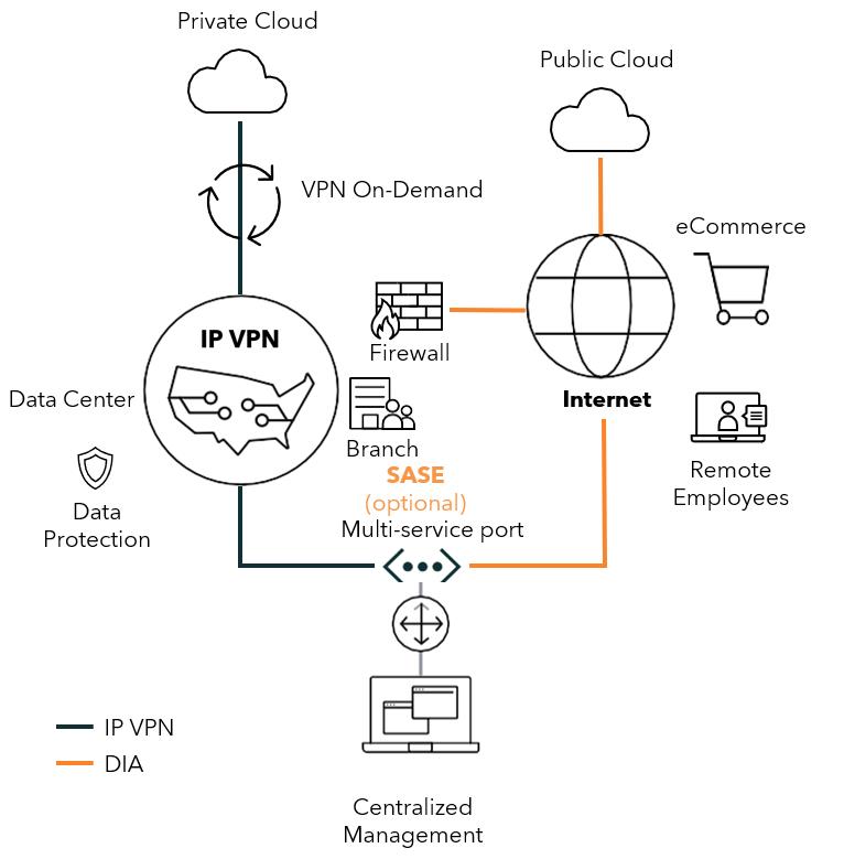 A diagram illustrating Lumen IP VPN and Lumen DIA delivered over a single multi-service port.