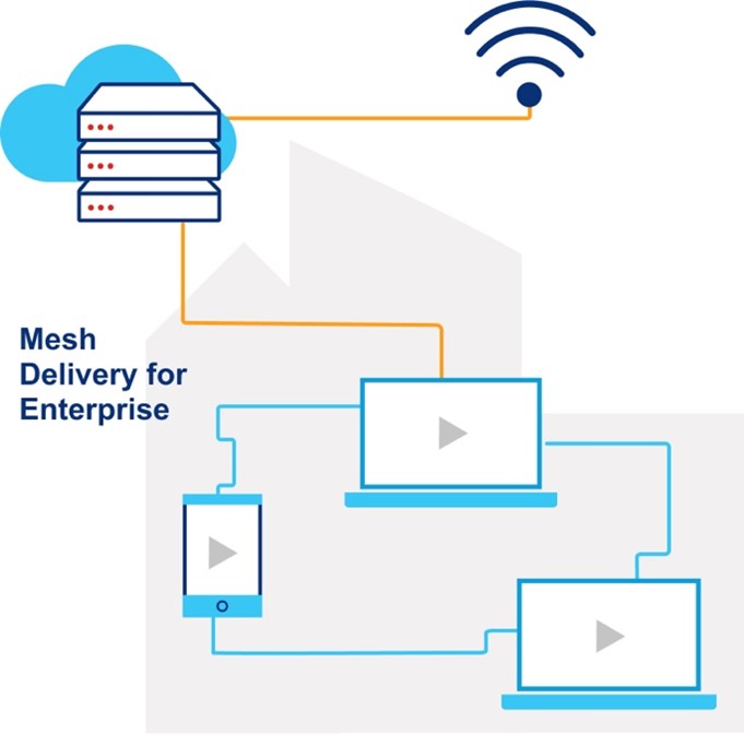 Illustration of Mesh Delivery for Enterprise route
